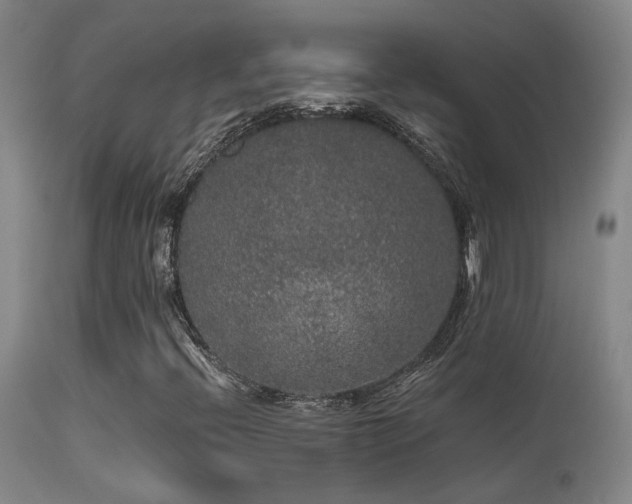 X0000113271396200909171702
