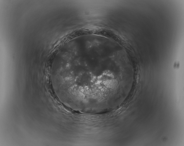 X0000113271397200909171702
