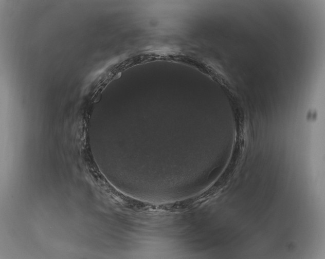 X0000113271398200909171702