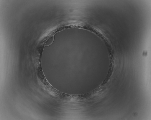 X0000113271399200909171702