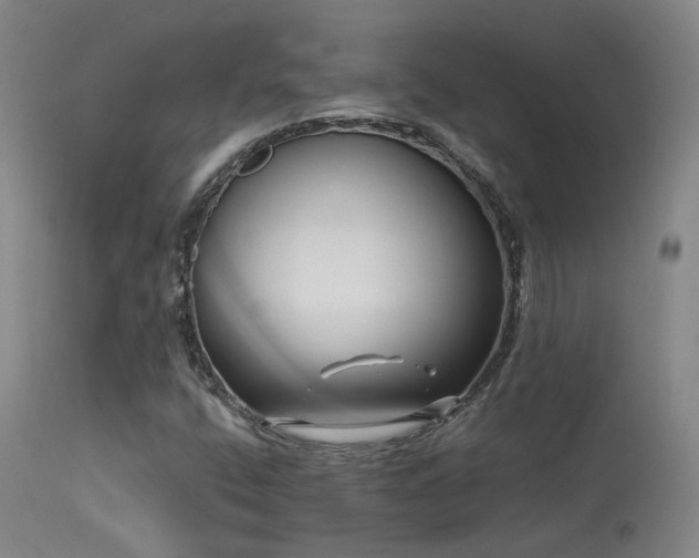 X0000113271400200909171702