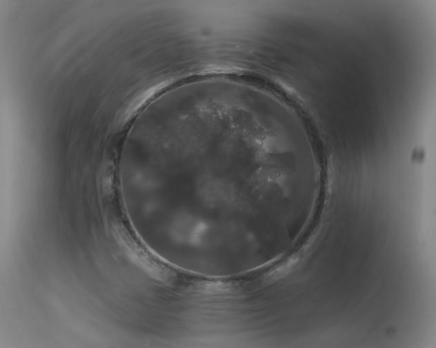 X0000113271401200909171702
