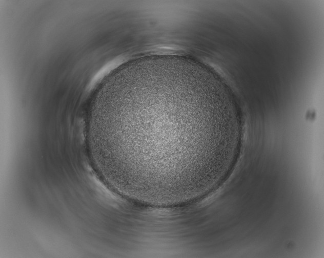 X0000113271402200909171702