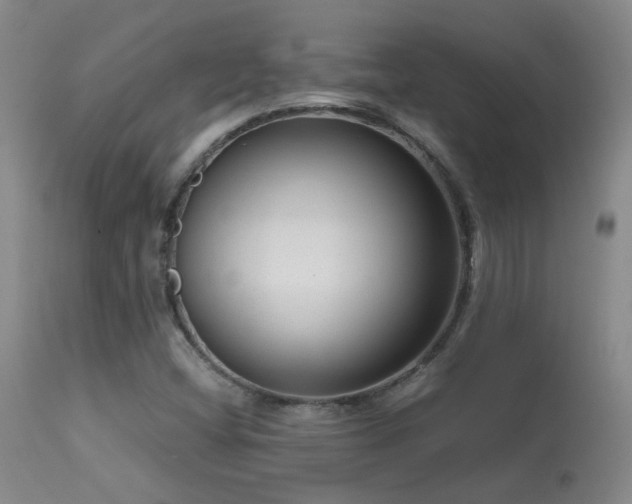 X0000113271404200909171702