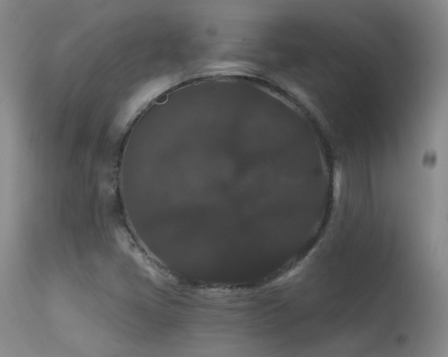 X0000113271405200909171702