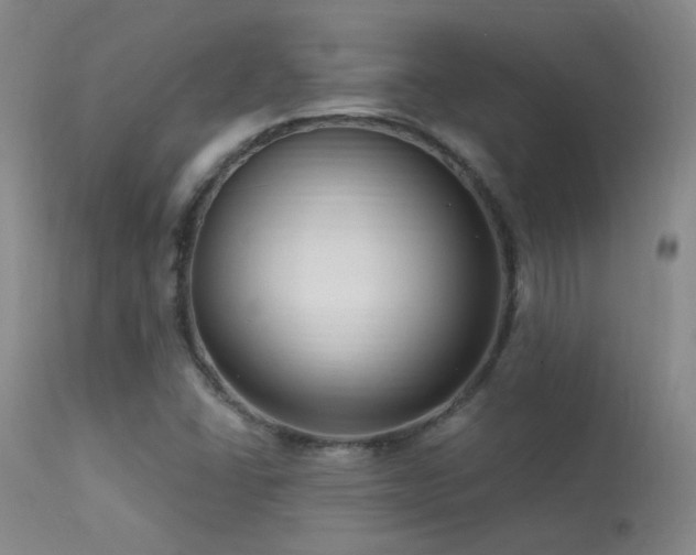 X0000113271406200909171702