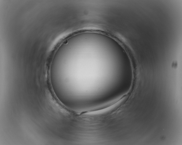 X0000113271408200909171702