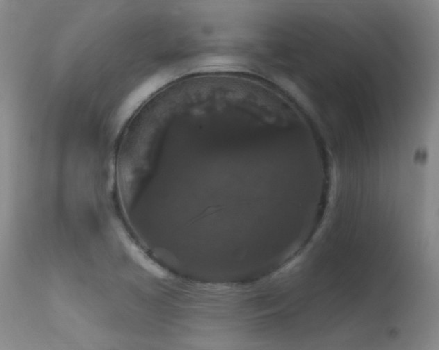 X0000113271413200909171702