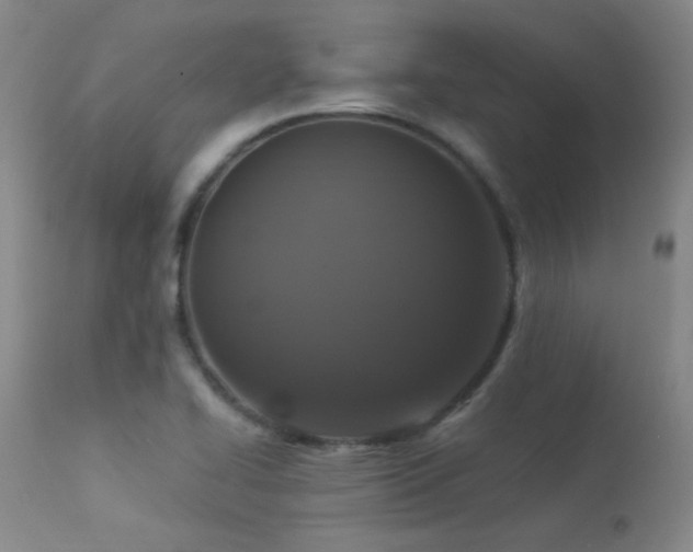 X0000113271414200909171702