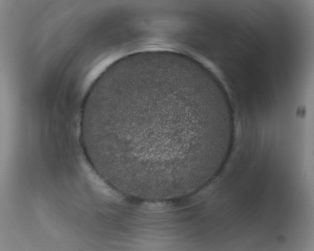 X0000113271415200909171702