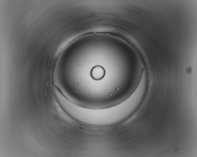 X0000113271417200909171702