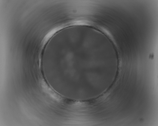 X0000113271419200909171702
