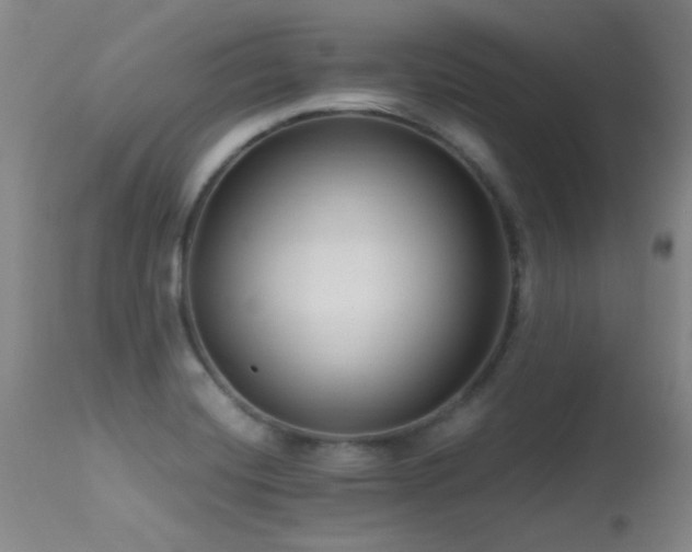 X0000113271420200909171703