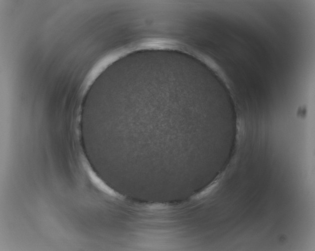 X0000113271421200909171703