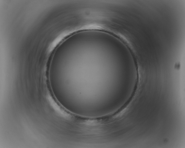X0000113271422200909171703