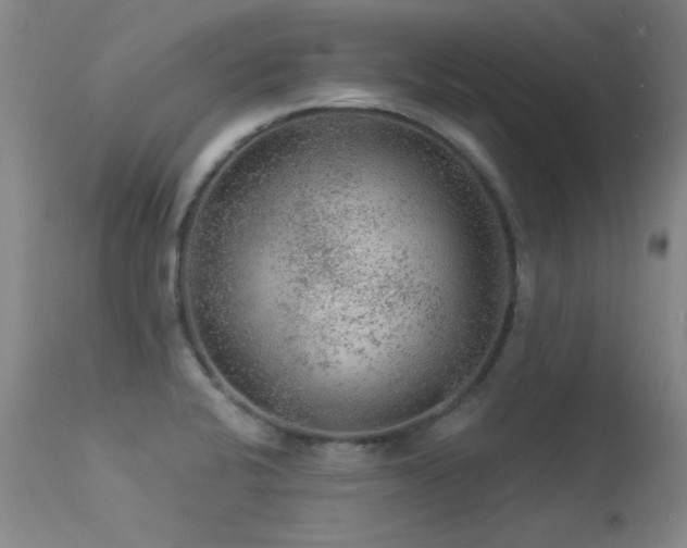 X0000113271424200909171703