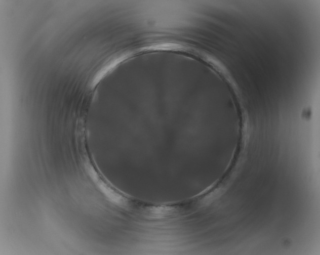 X0000113271425200909171703