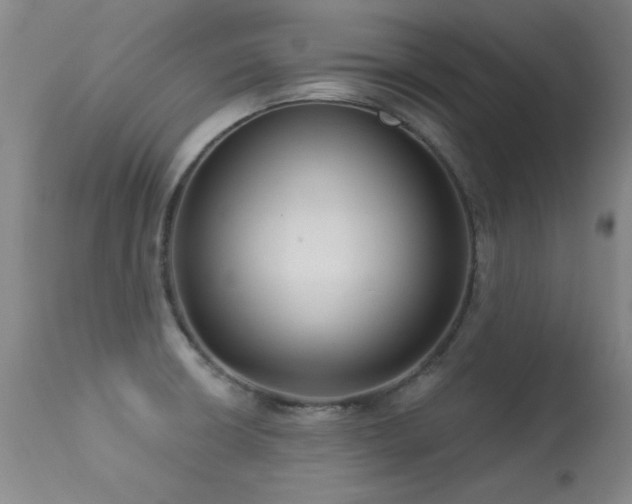 X0000113271426200909171703