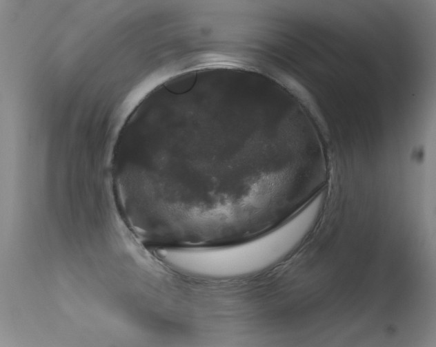 X0000113271427200909171703