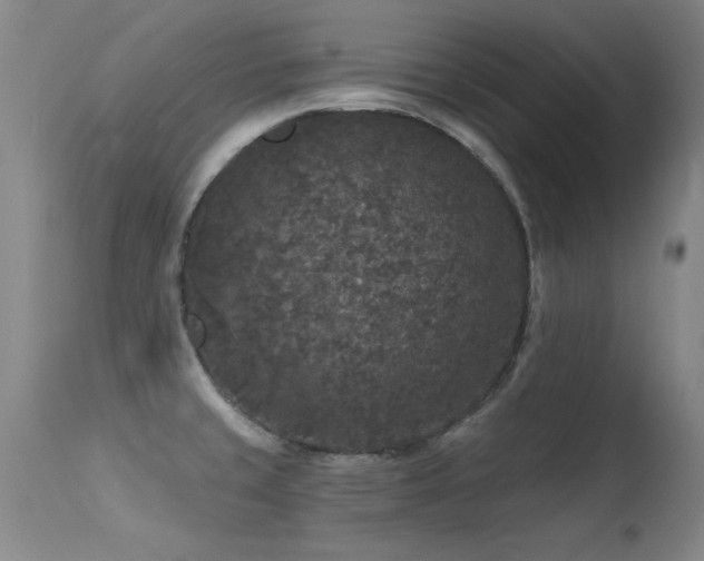 X0000113271429200909171703