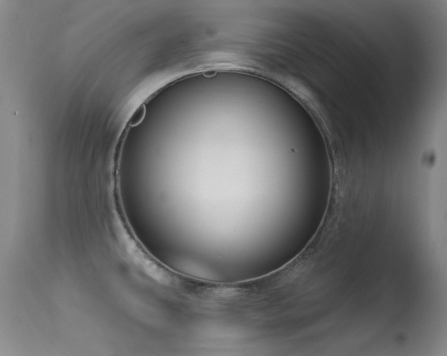 X0000113271431200909171703