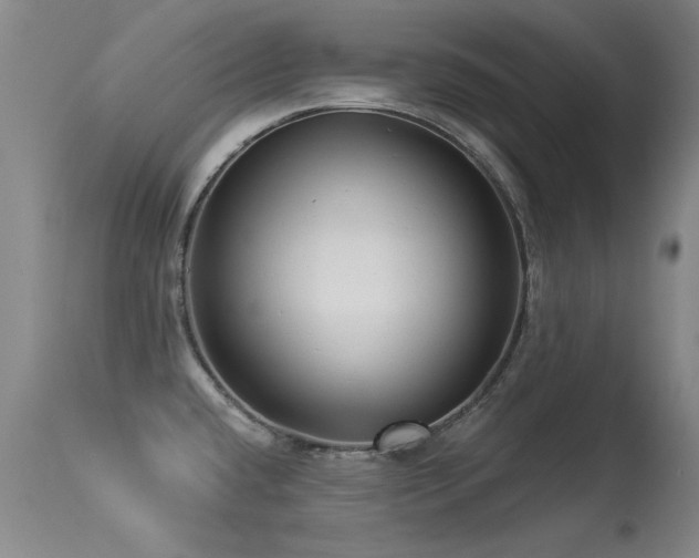 X0000113271432200909171703