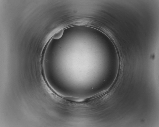 X0000113271434200909171703
