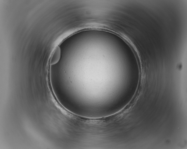 X0000113271437200909171703