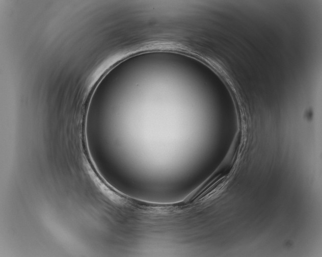 X0000113271438200909171703