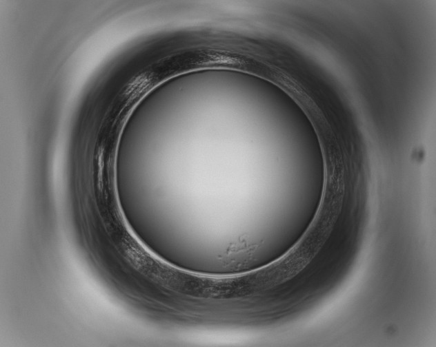 X0000113271439200909171703