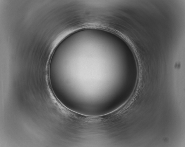 X0000113271440200909171703