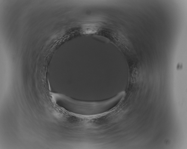 X0000113271441200909171702