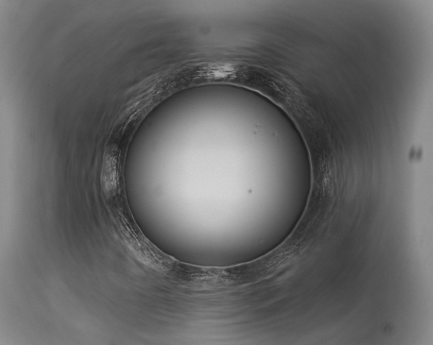 X0000113271442200909171702