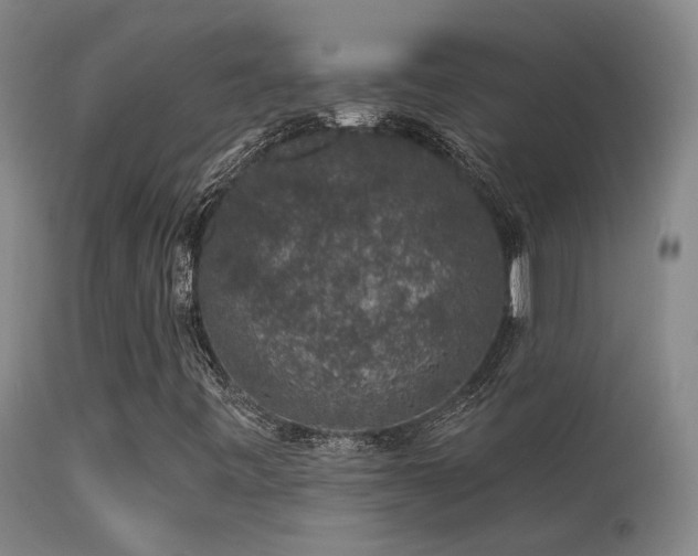 X0000113271443200909171702