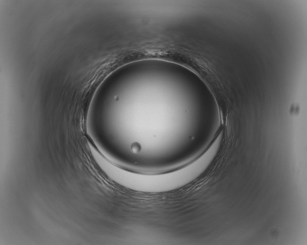 X0000113271444200909171702