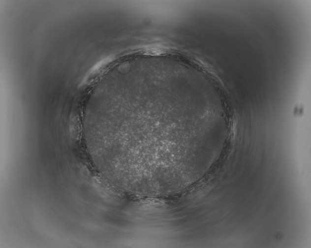 X0000113271446200909171702