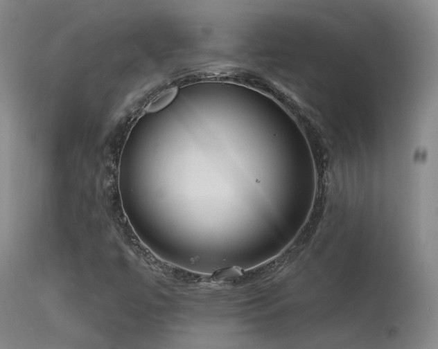 X0000113271447200909171702