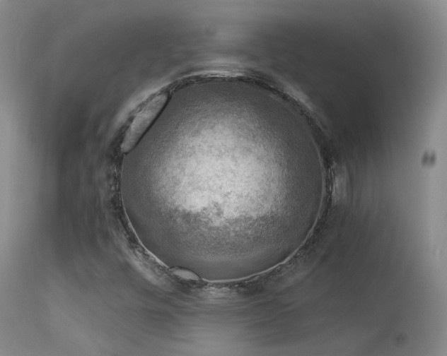 X0000113271448200909171702