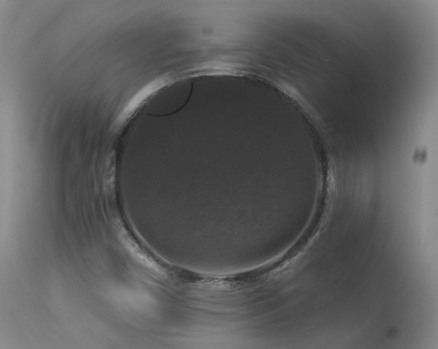 X0000113271450200909171702