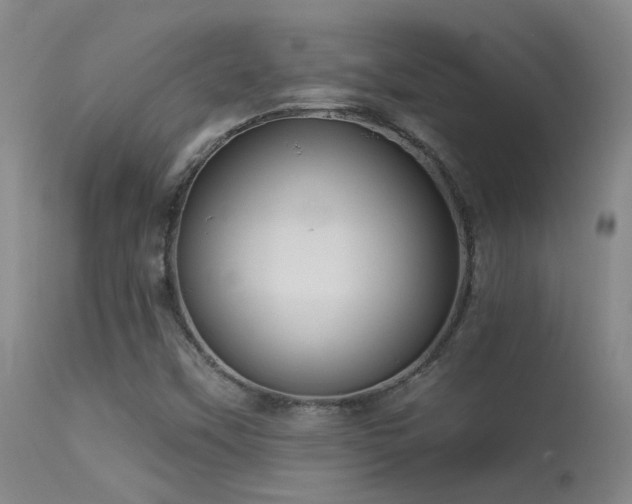 X0000113271451200909171702