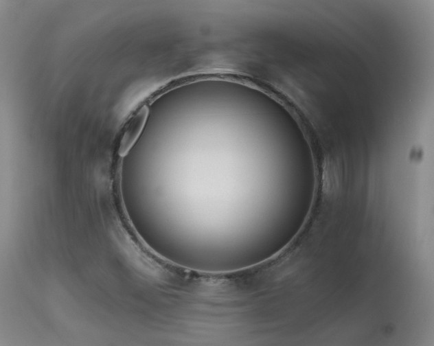 X0000113271452200909171702