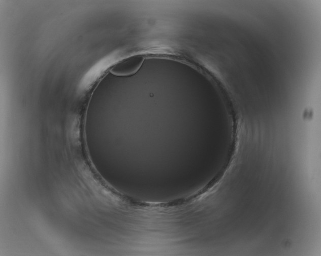 X0000113271455200909171702
