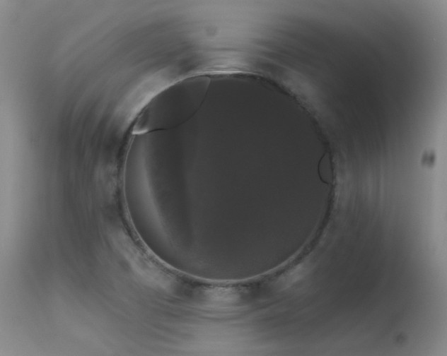 X0000113271457200909171702
