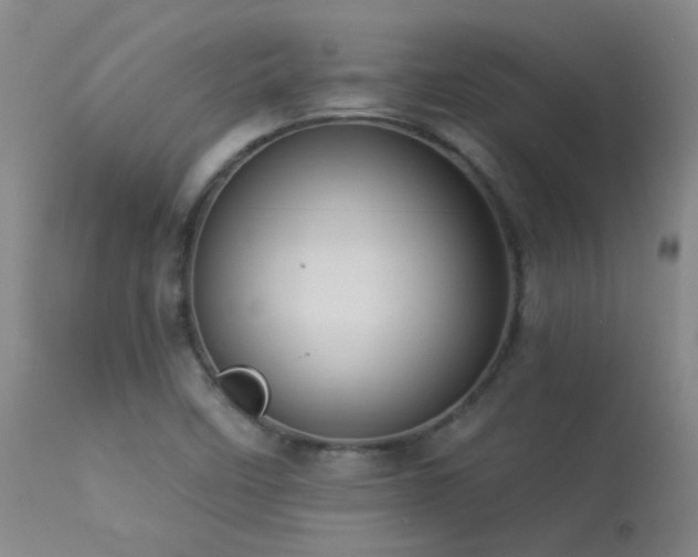 X0000113271458200909171702