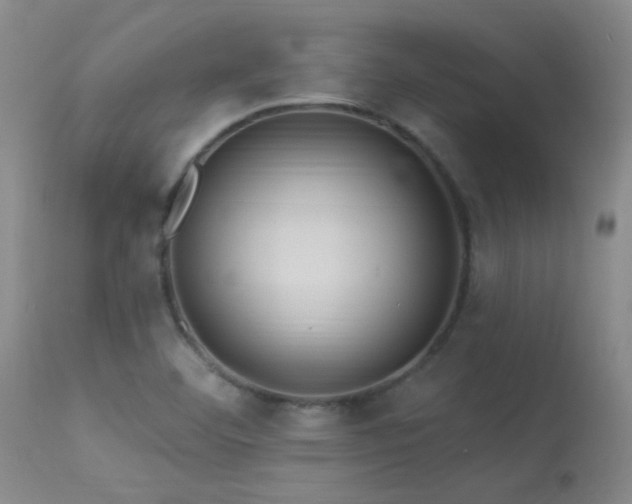 X0000113271460200909171702