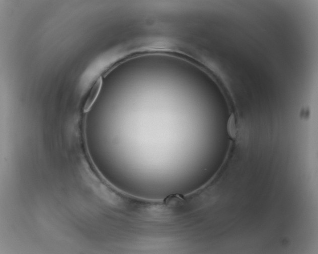 X0000113271464200909171702