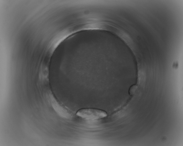 X0000113271465200909171702
