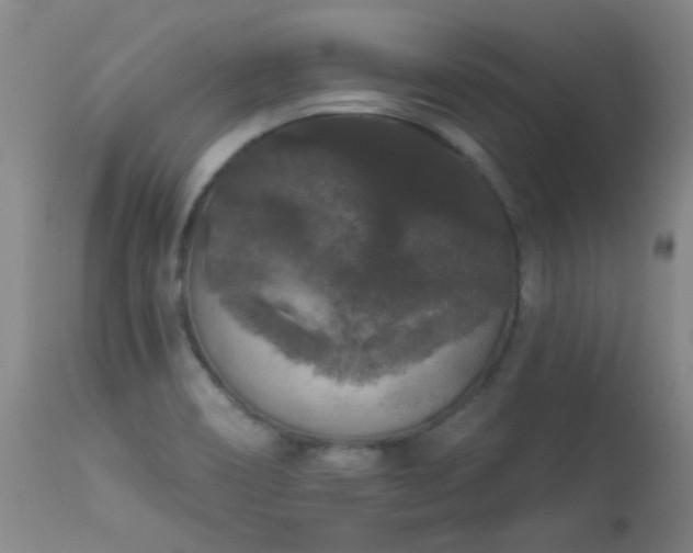 X0000113271466200909171702
