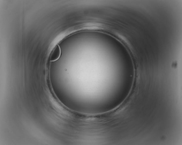 X0000113271467200909171702