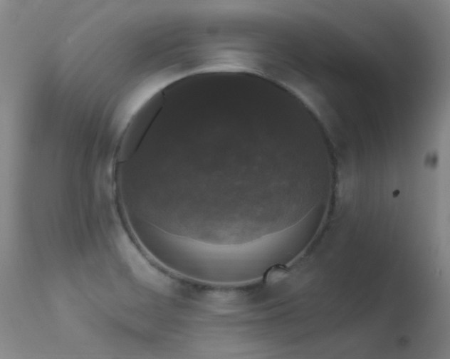 X0000113271468200909171702